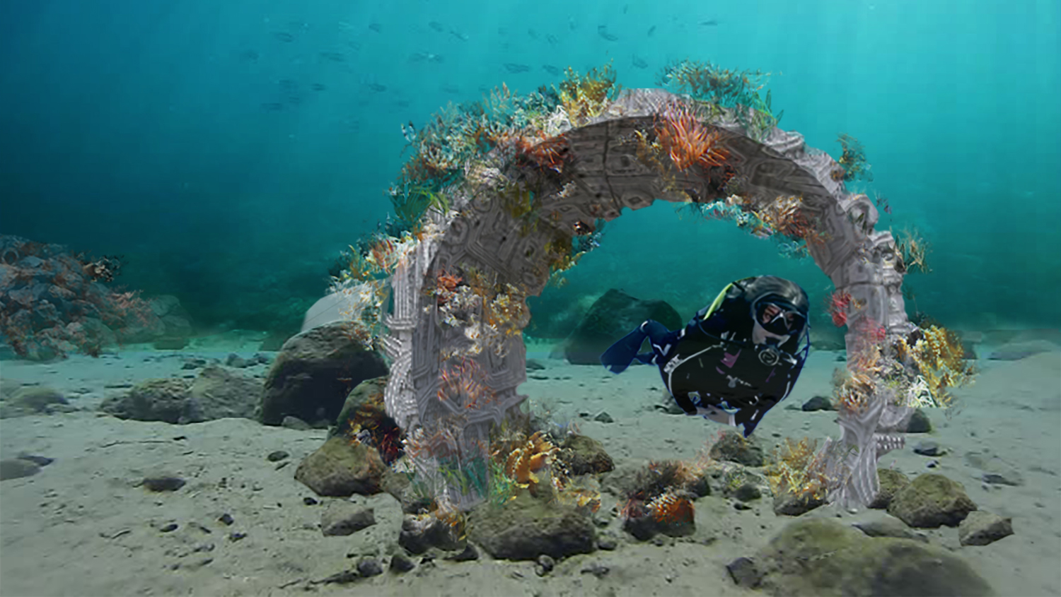 Student’s illustration of part of an artificial reef