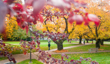 Fall in the Quad, University of Washington Seattle campus, October 2013. Photo by Katherine B. Turner