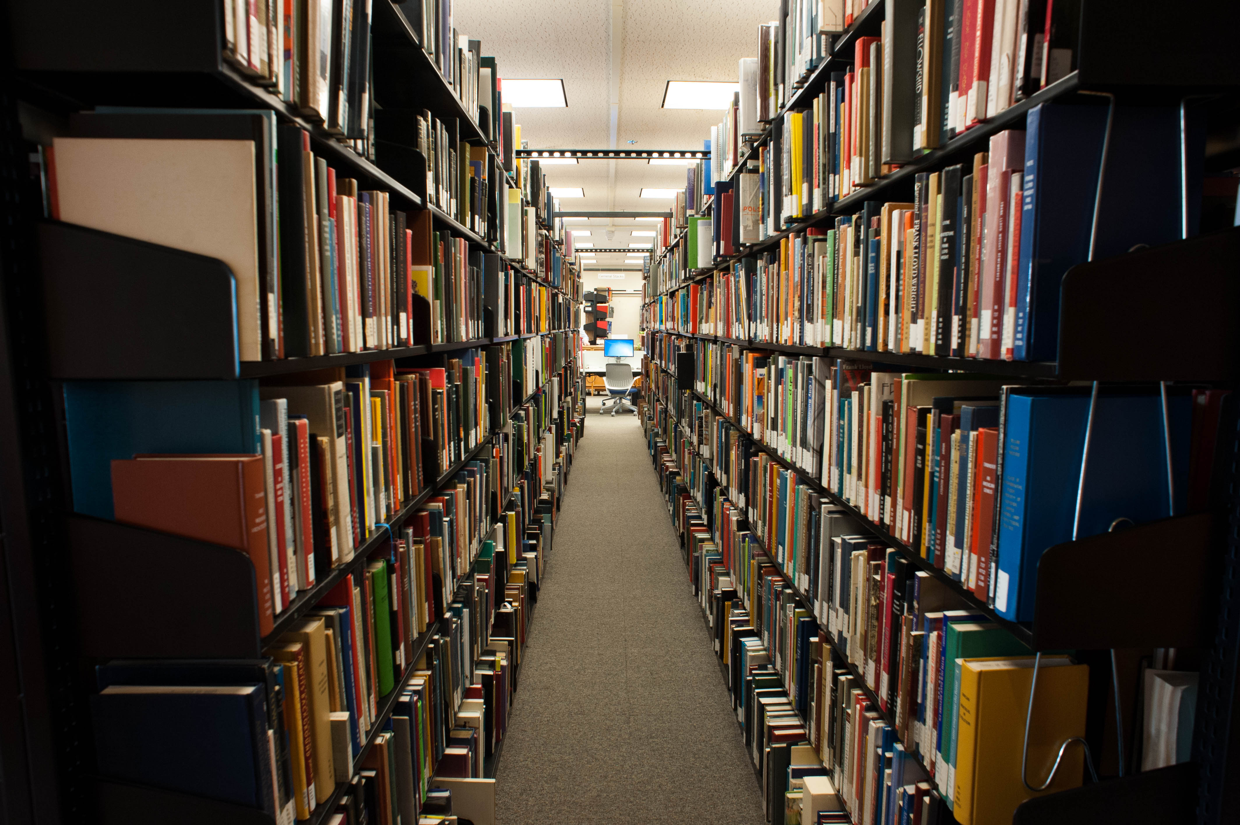 Rows and rows of multicolored books
