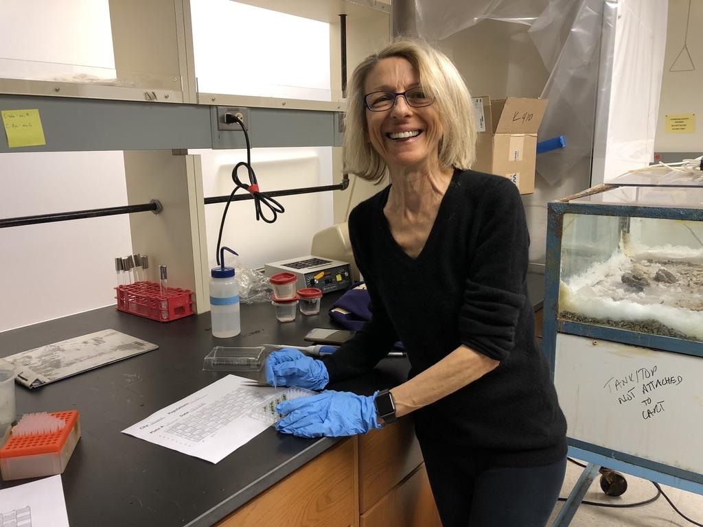 Blonde, white woman in dark clothing wearing blue latex medical gloves leaning on a lab counter