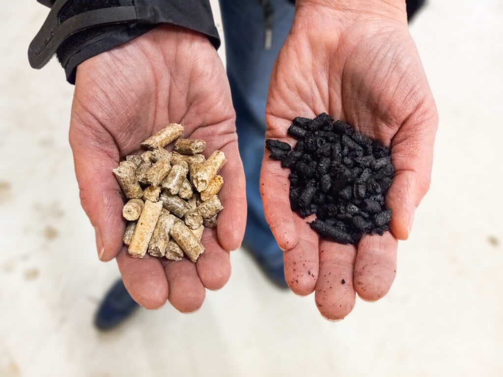 Hands palm up, wood pellets in left, black carbon pellets in right