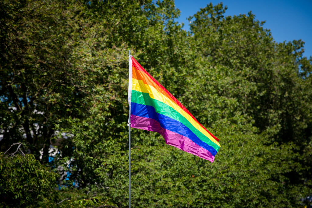 Pride flag with trees in the background