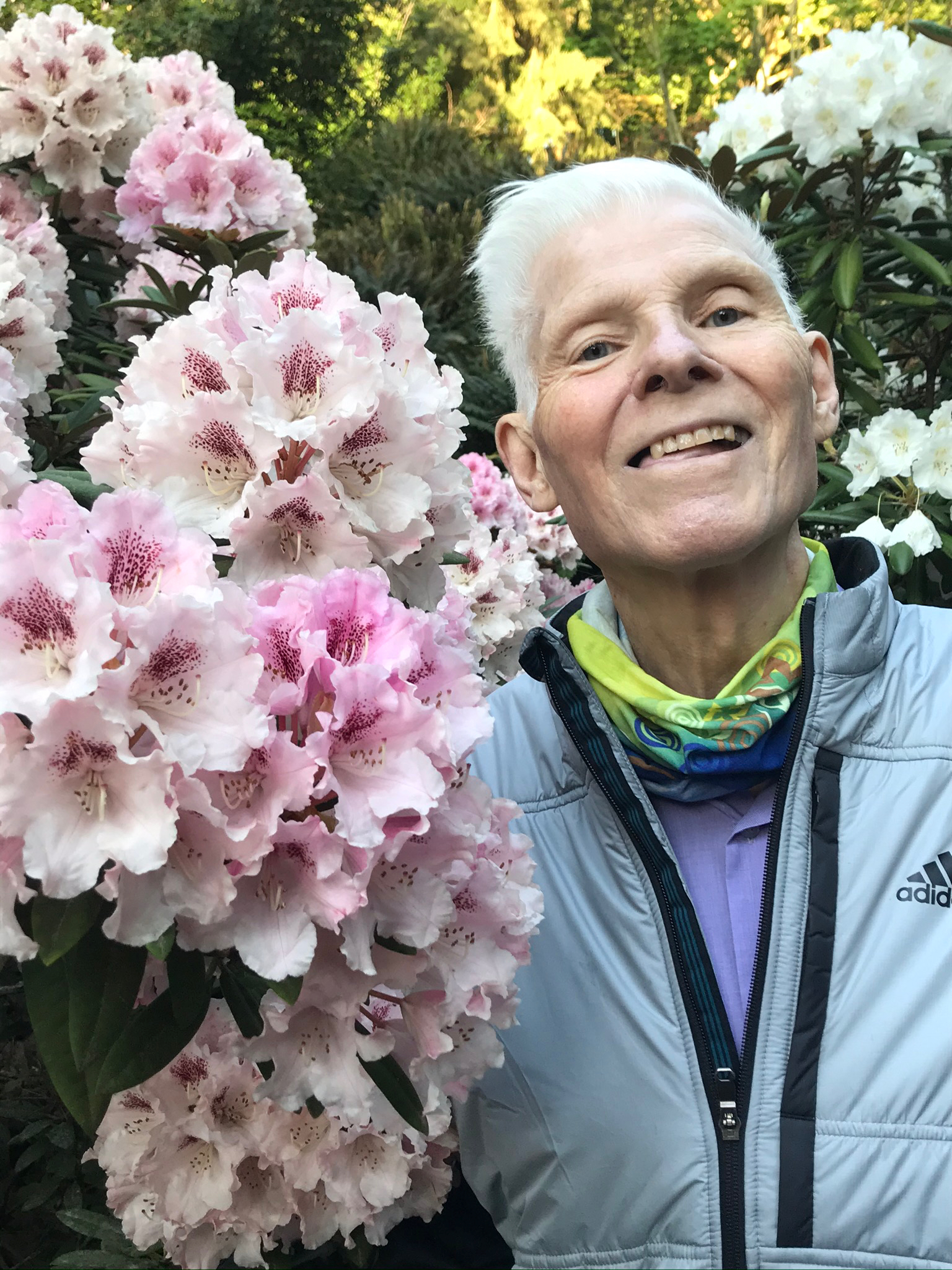 Dr. Bob standing in front of a light pink rhododendron bush