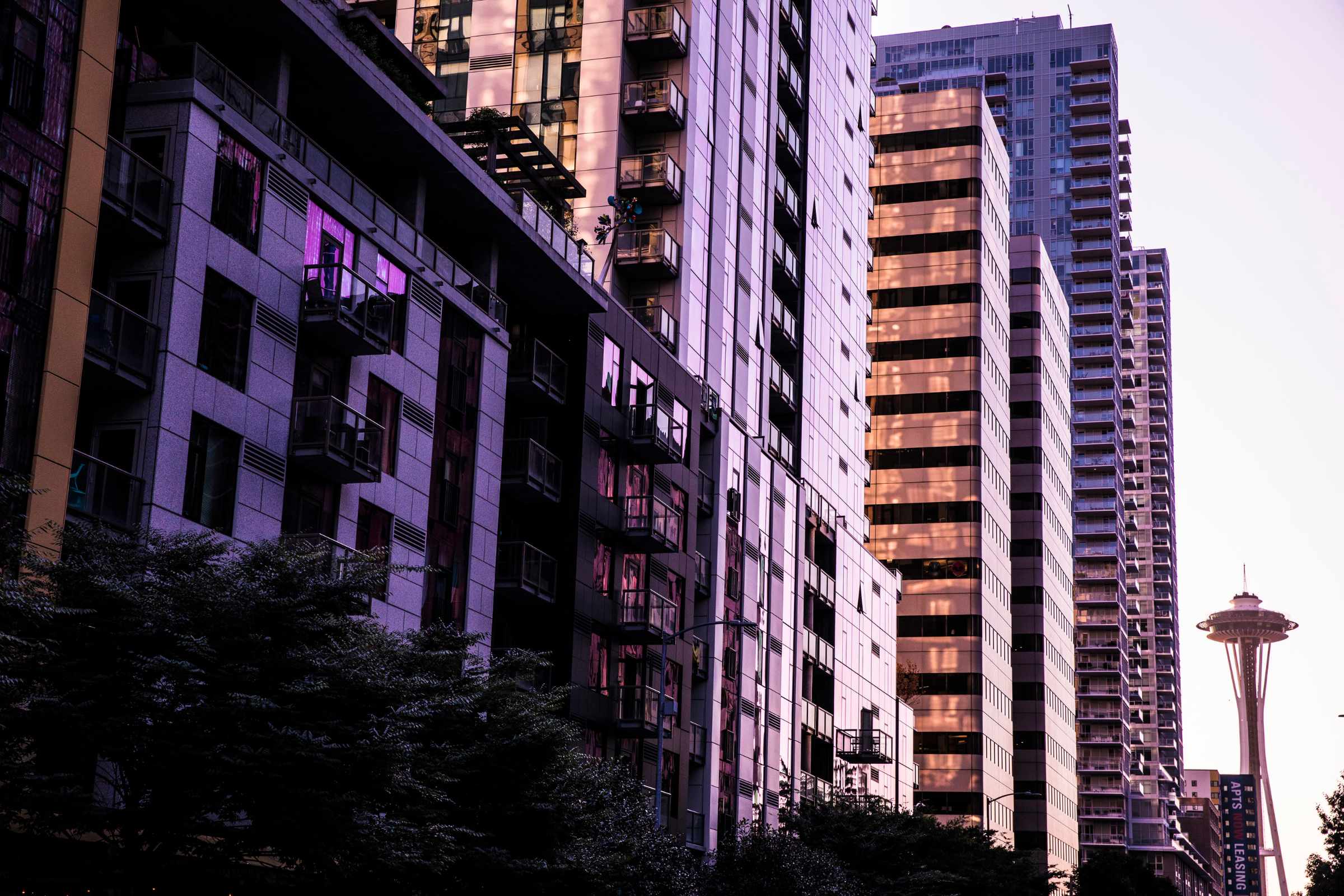Twilight hues cast over a Seattle cityscape, spotlighting the geometric facades of high-rise buildings with the Space Needle in the background.