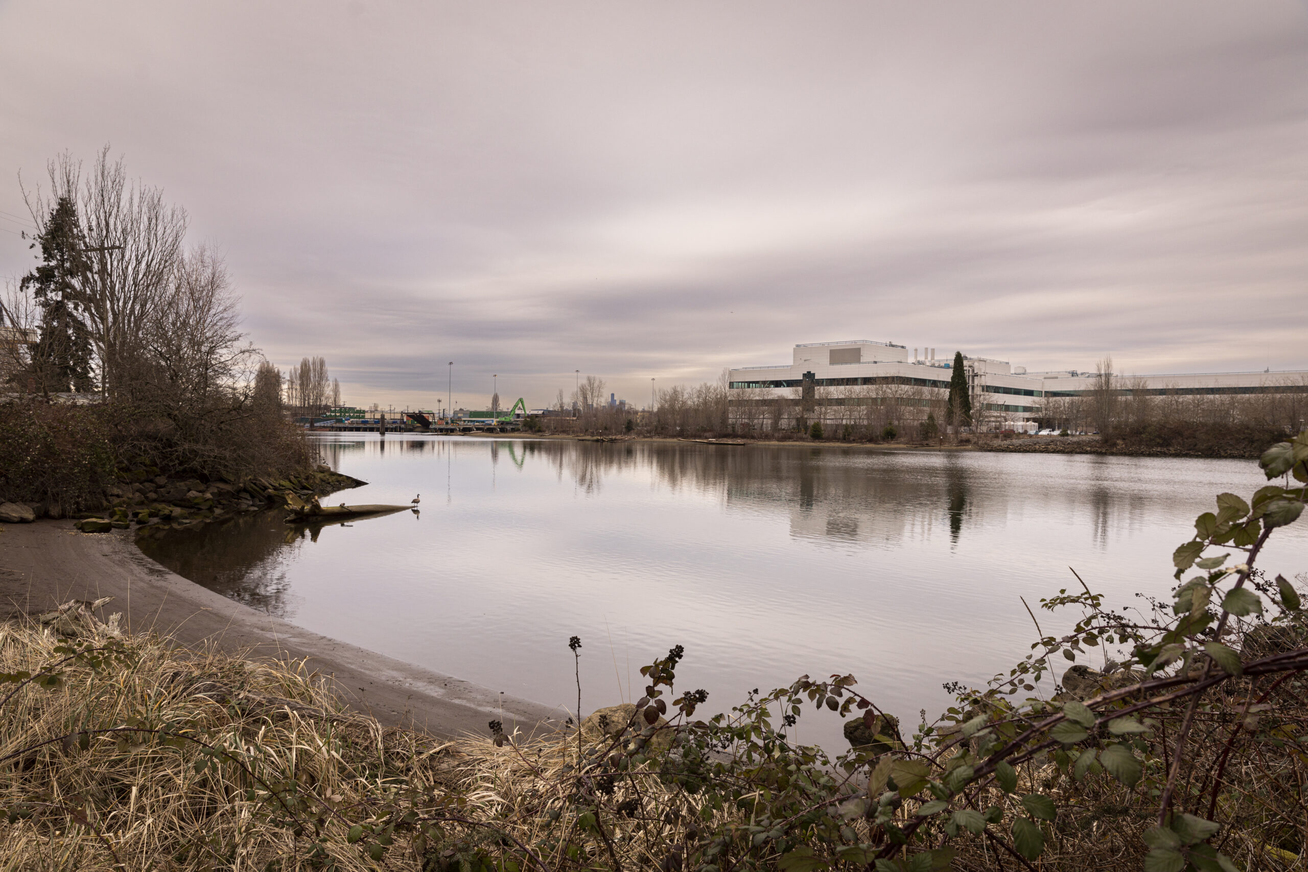 Duwamish River