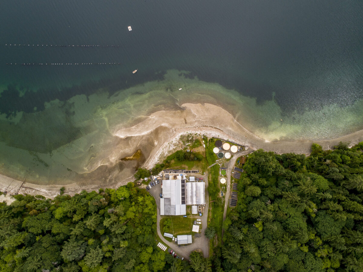 Overhead view of the coastline