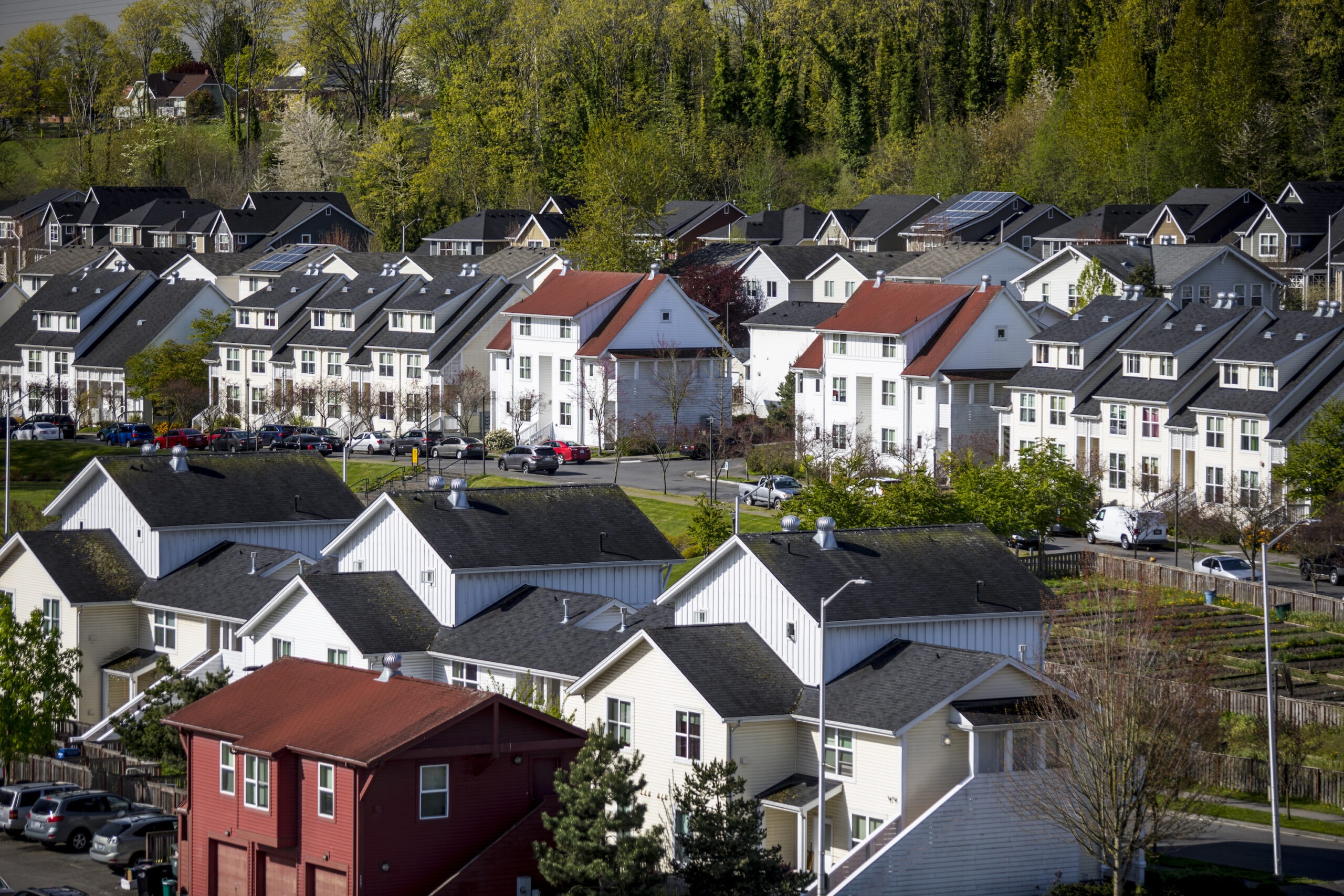 Houses in a dense neighborhood