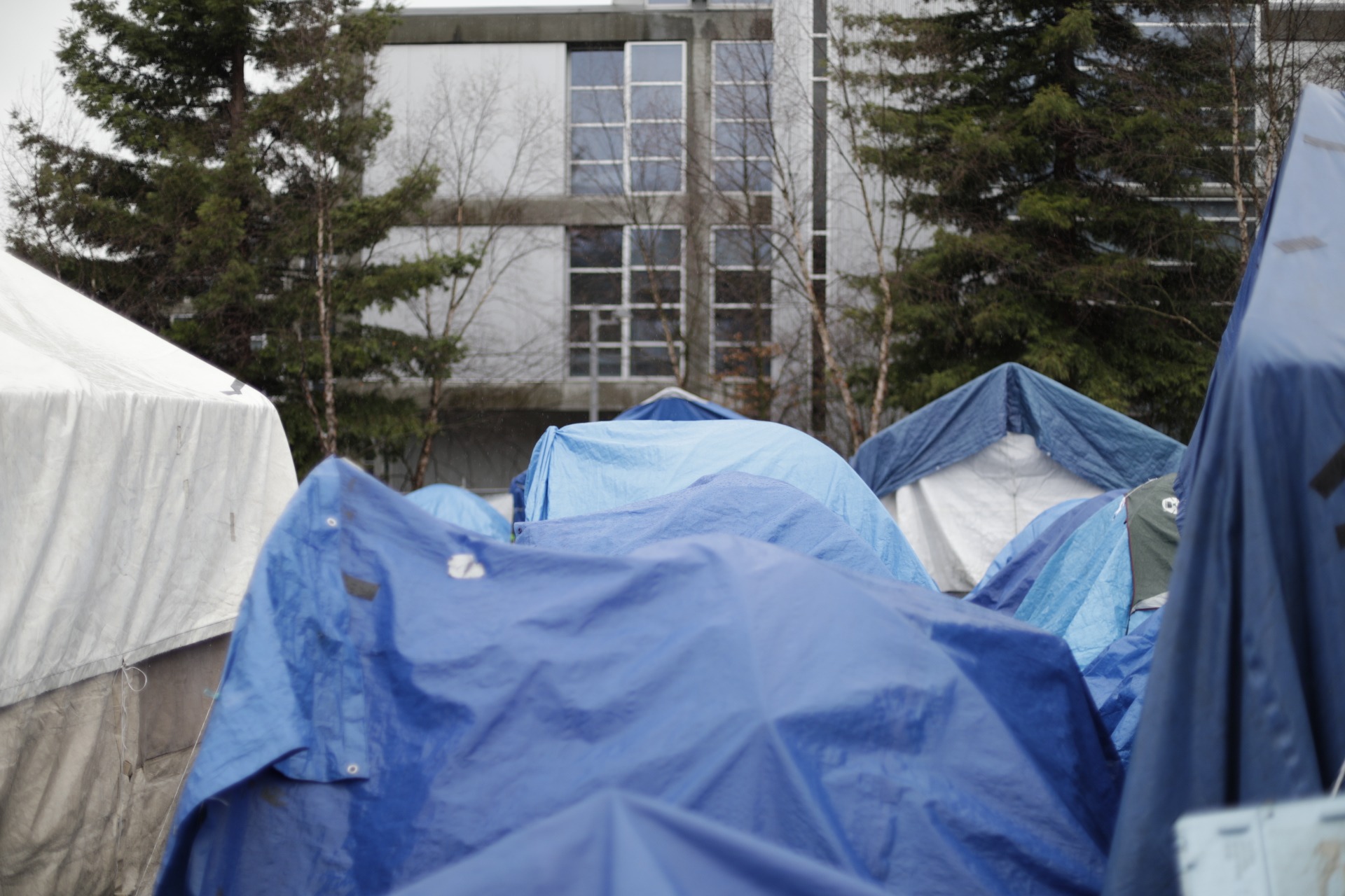 Blue tarps over tents - homelessness