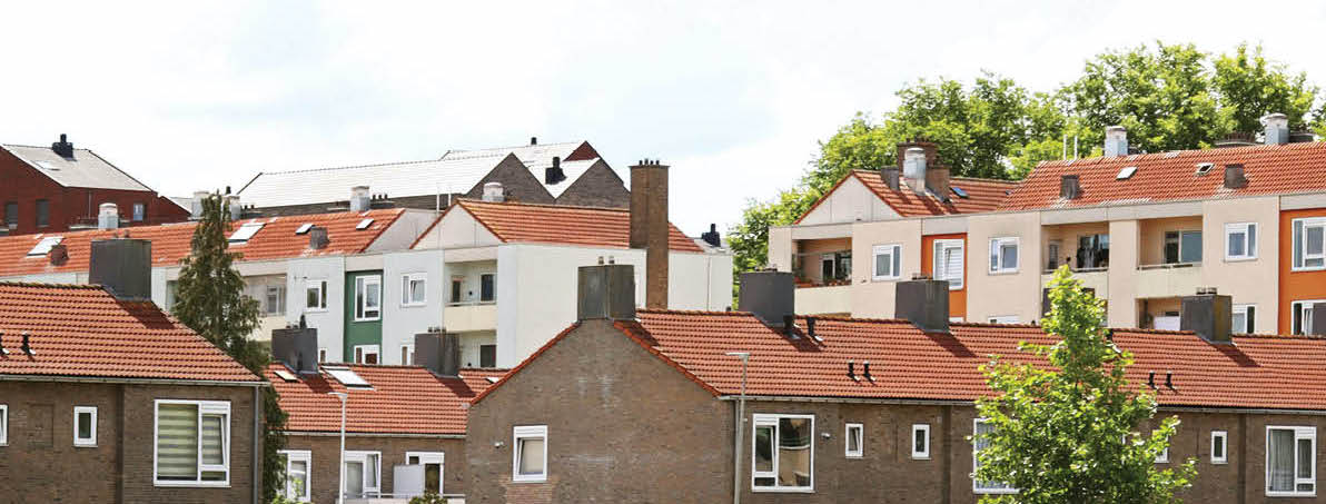 Houses in a neighborhood