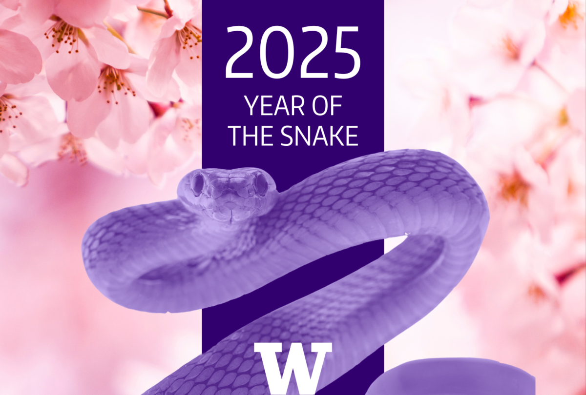 image of snake in purple on cherry blossom background