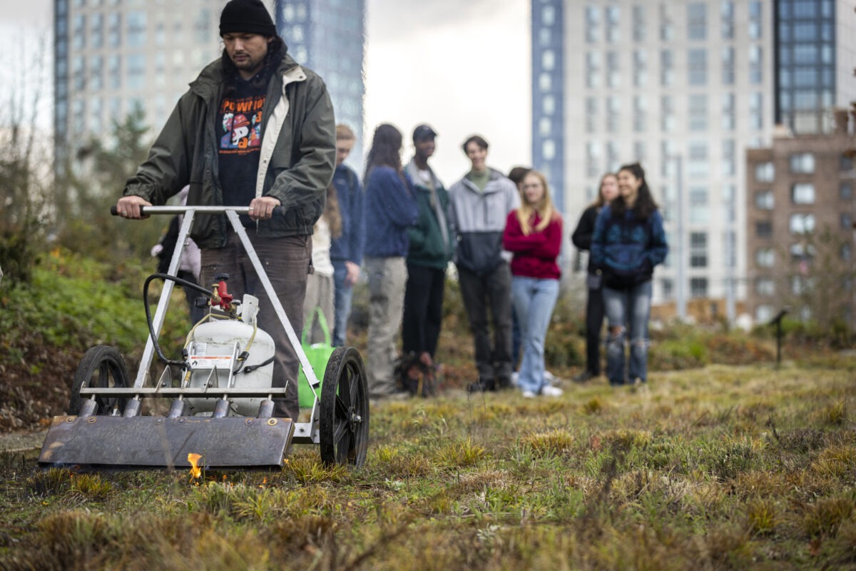 Student pushing torch cart over lawn