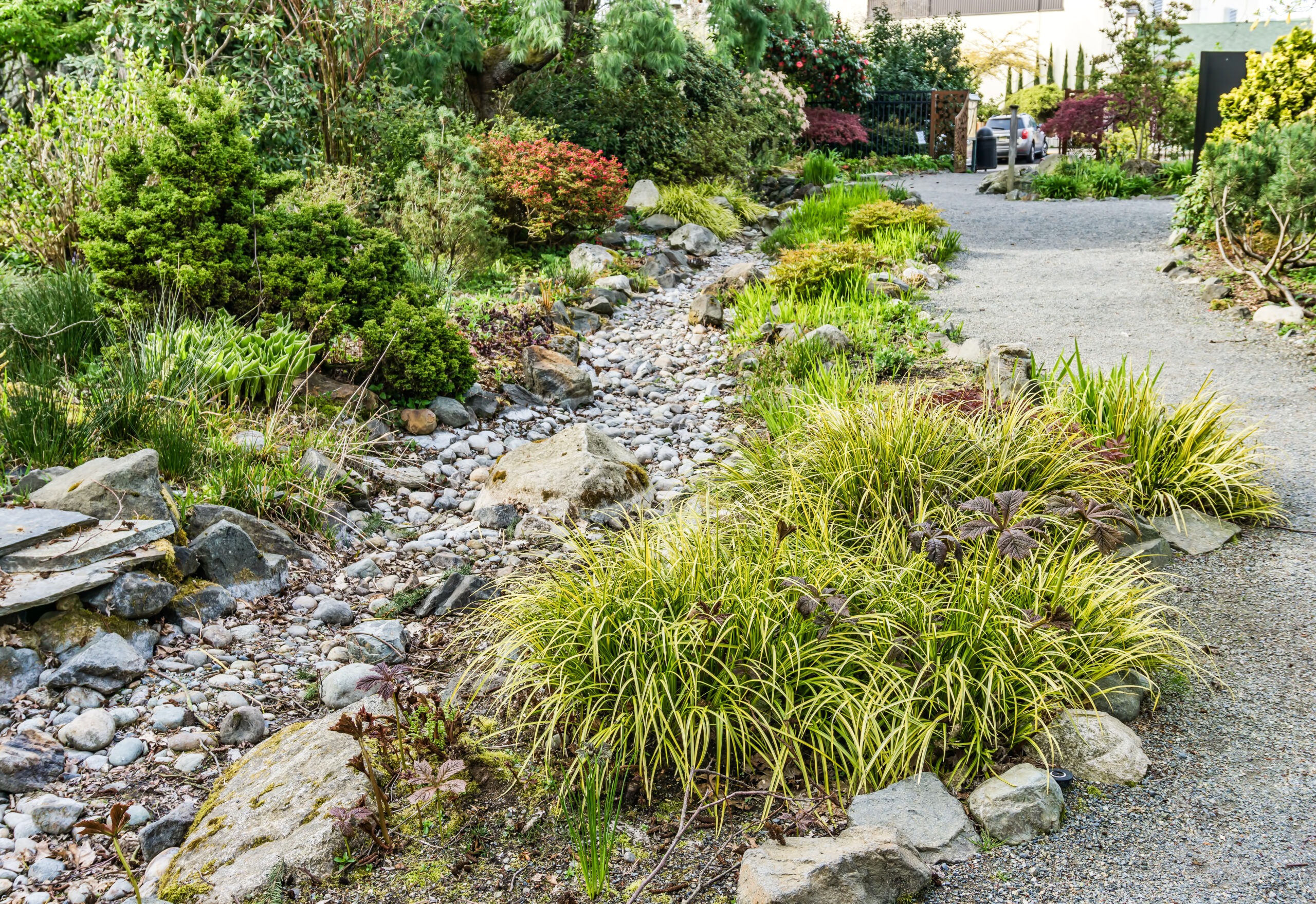 Plants and flowers grow by a dry stream bed in Seatac, Washington.