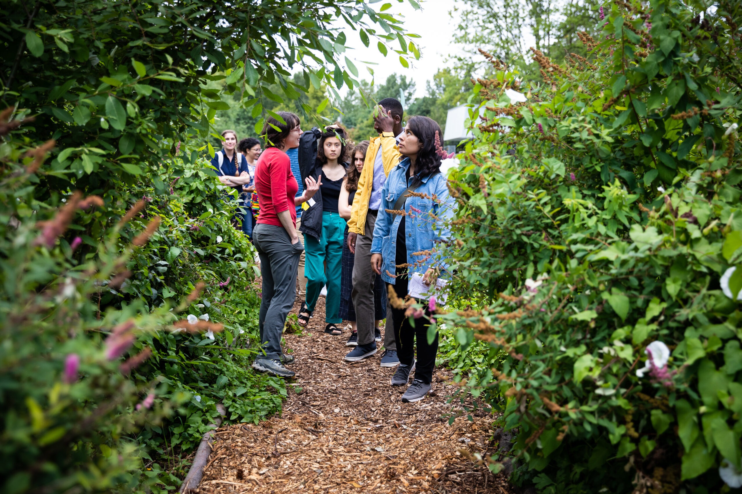 Scholars tour the Rainier Beach Urban Farm and Wetlands in south Seattle.