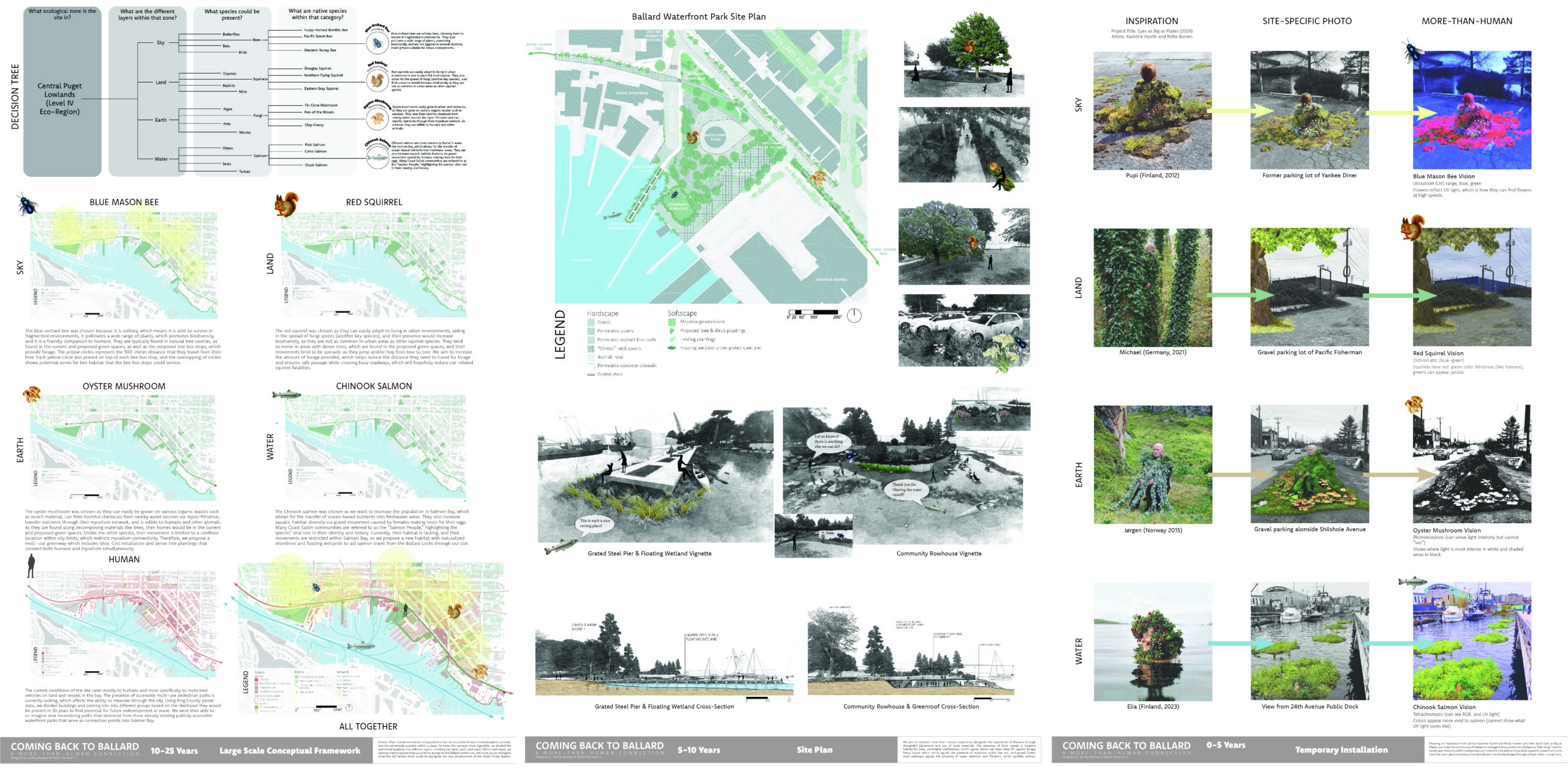 Student project poster with graphics