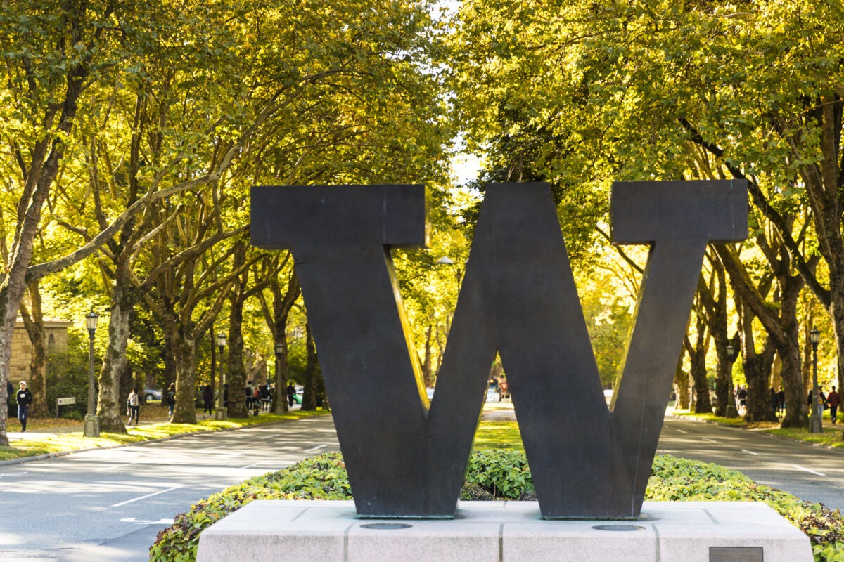 Sculpture of W on a backdrop of brightly lit trees