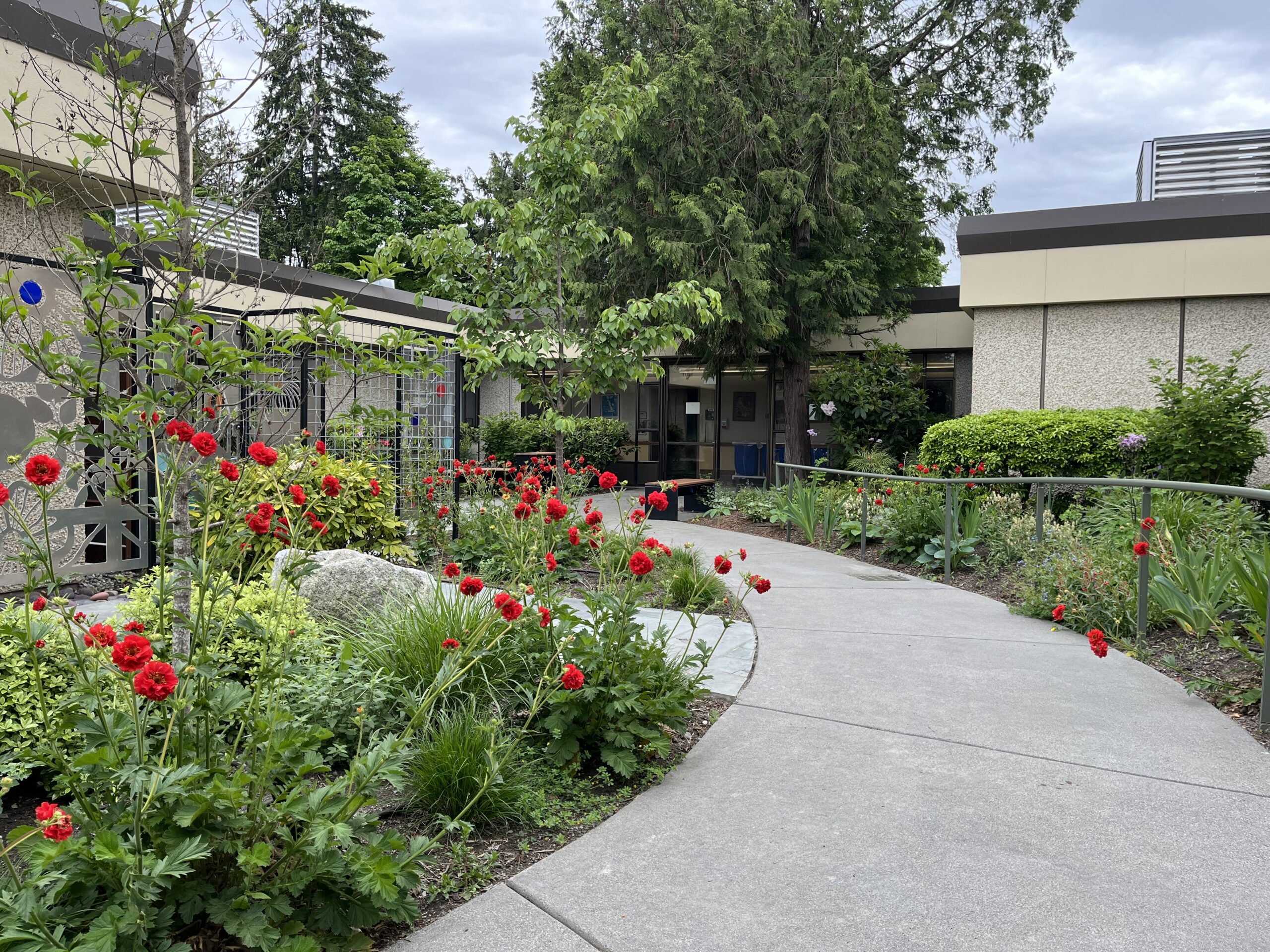 Garden with path in the middle