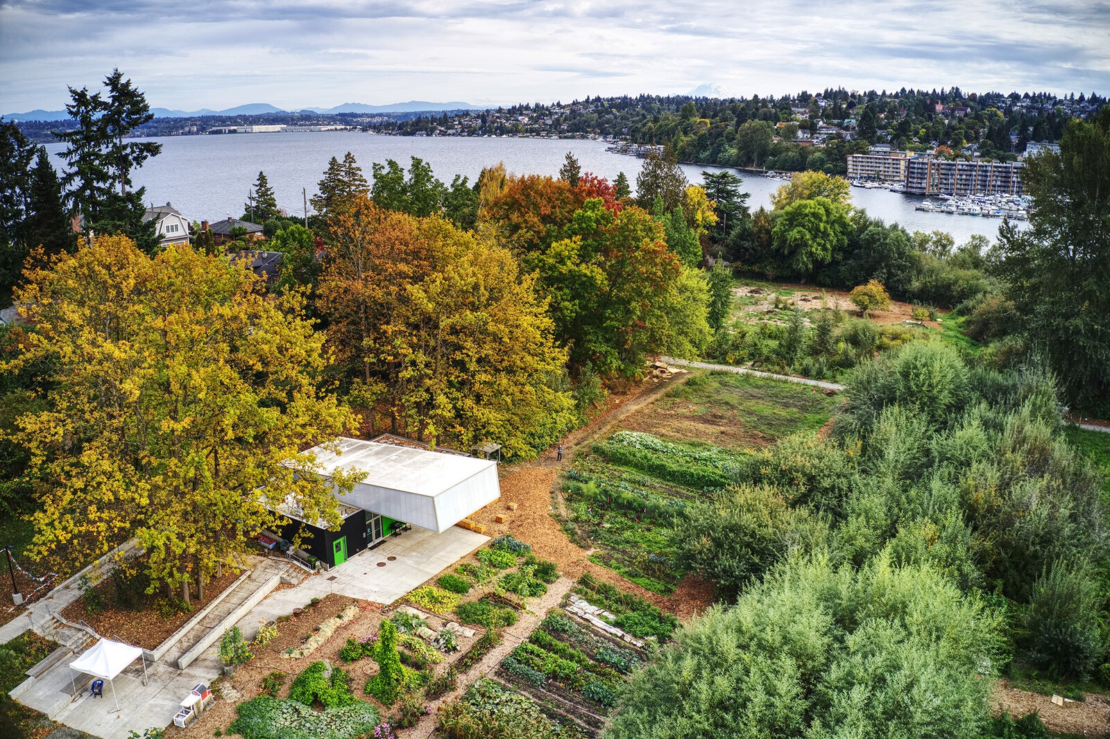 Aerial view of Rainier Beach Urban Farm