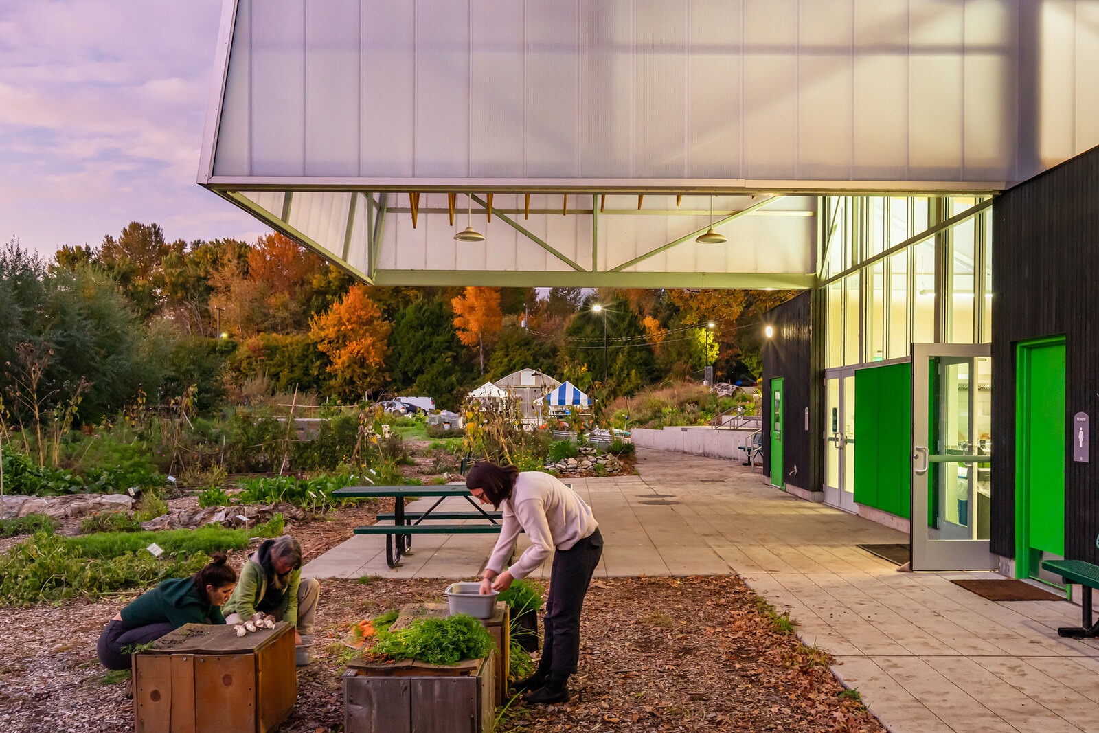 People harvest vegetables in raised beds outside a modern community building, with gardens, pathways and trees creating a vibrant farm setting.