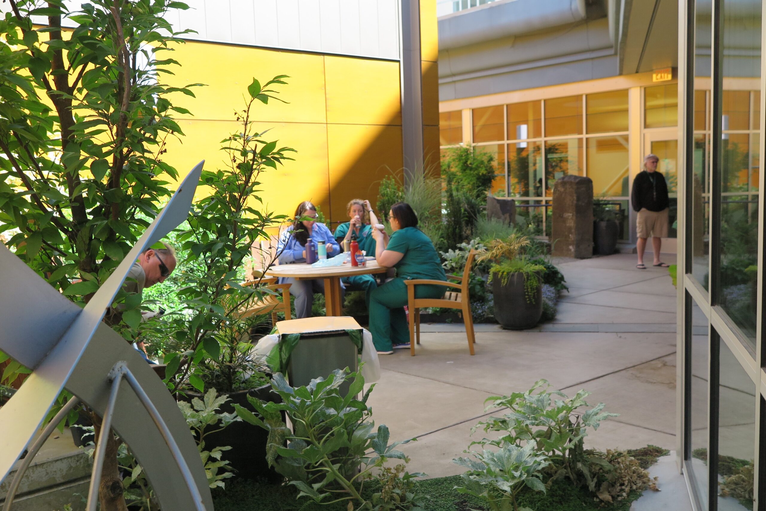 Garden at Veterans Hospital