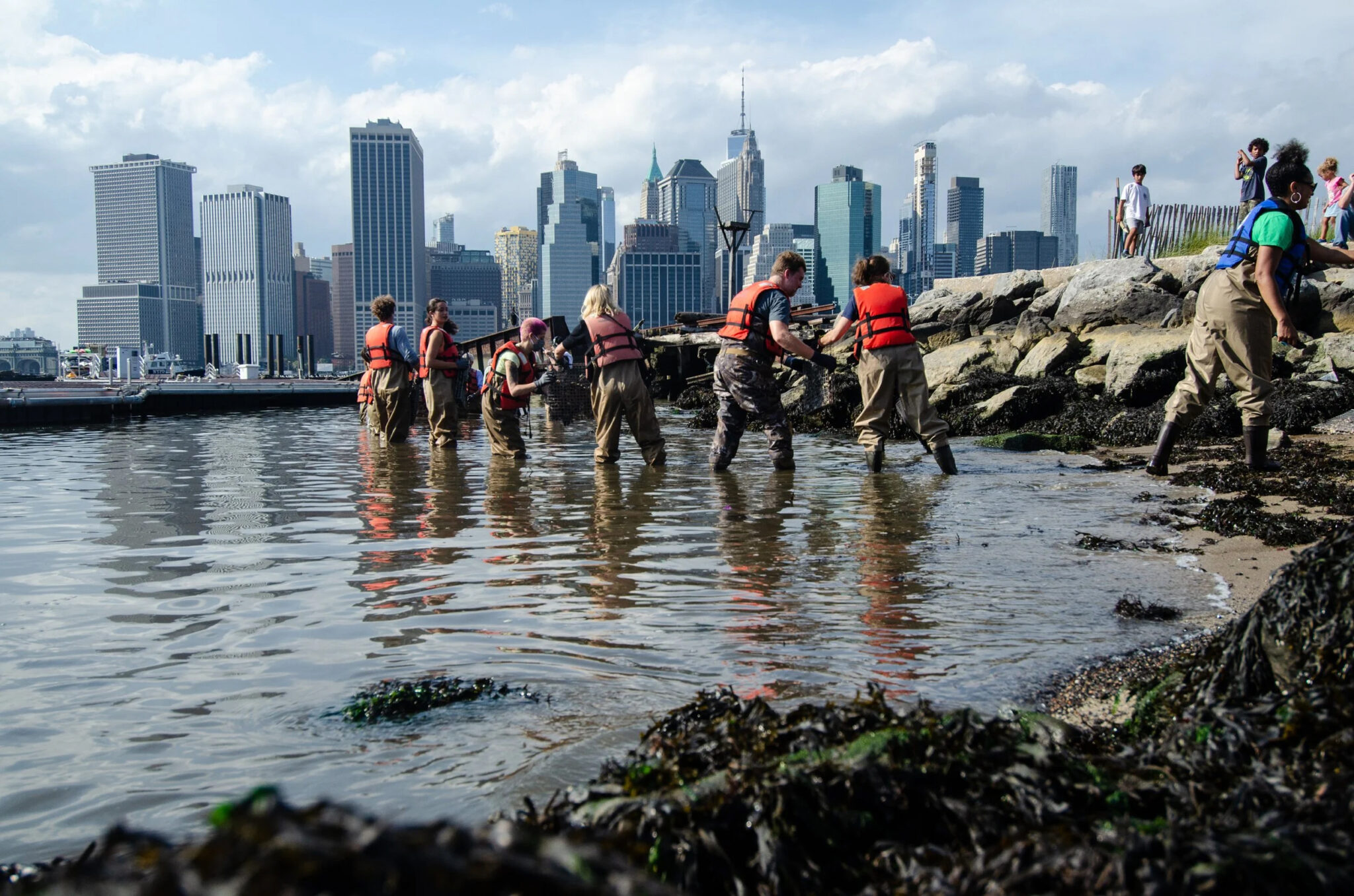 People wading on the shore of Elliot Bay