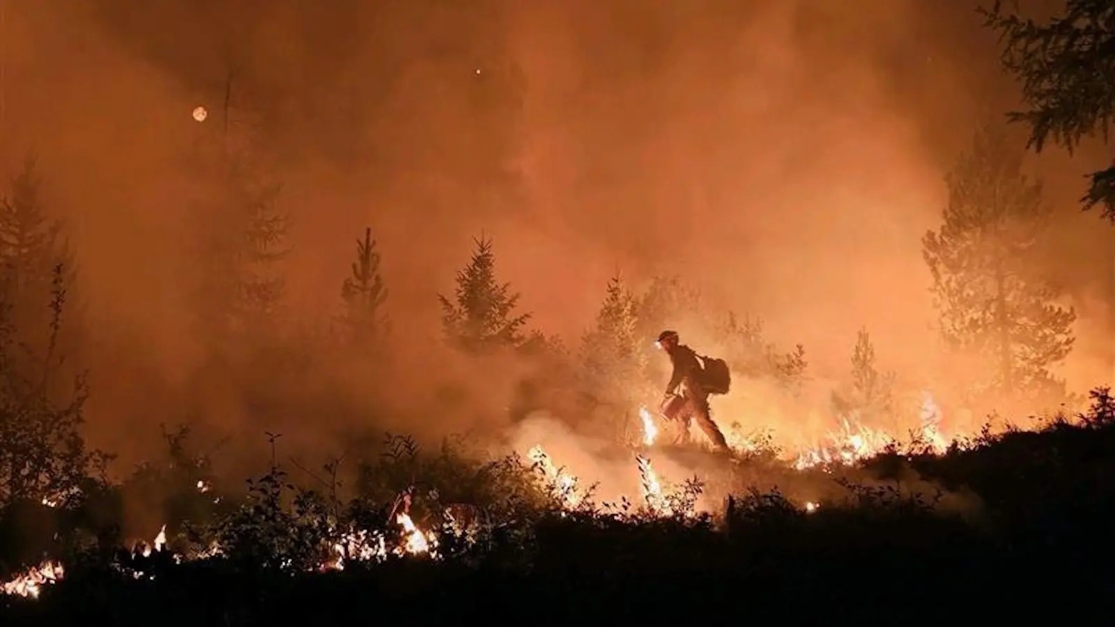Firefighter fighting wildfire
