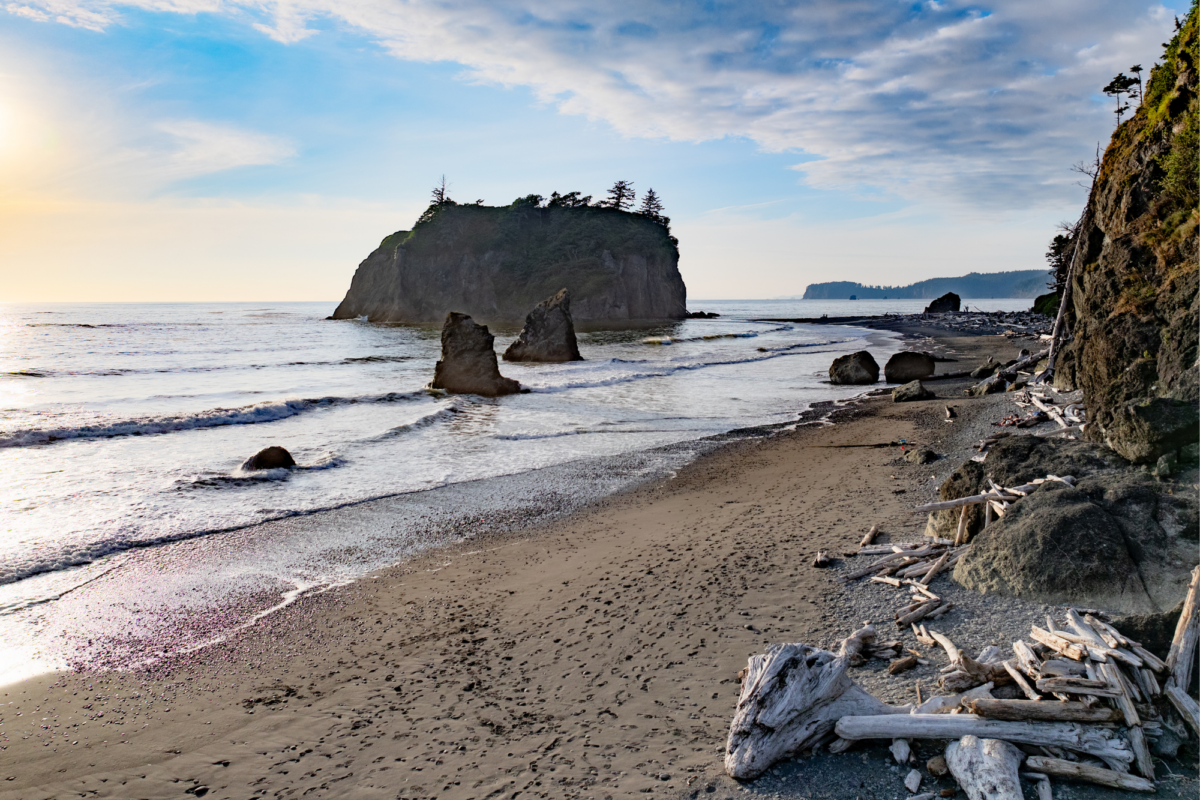 PNW Coastline